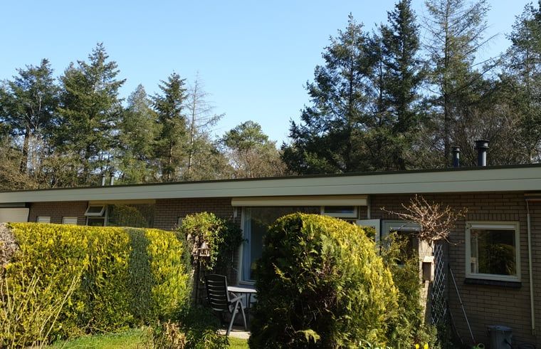 Exterieur van Vakantiehuis in Otterlo, Veluwe, omgeven door groen en rustgevende natuur.