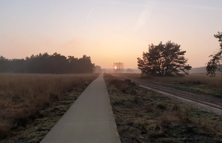 Adembenemende zonsopgang in de Veluwe, nabij Vakantiehuis in Otterlo, biedt een serene start van de dag.