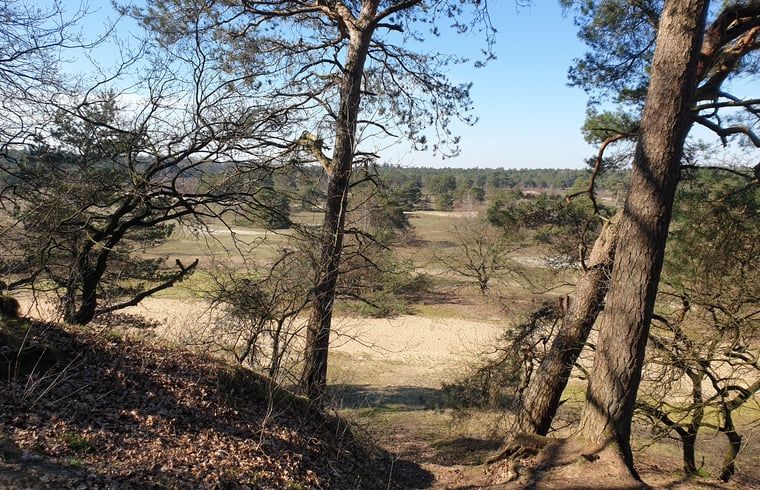 Panoramisch uitzicht over de Veluwe vanuit Vakantiehuis in Otterlo, perfect voor natuurliefhebbers.