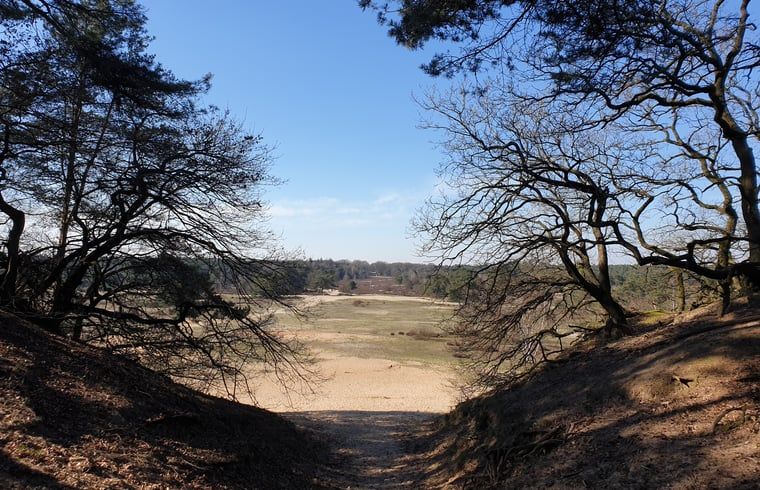 Prachtig landschap van de Veluwe nabij Vakantiehuis in Otterlo, ideaal voor wandel- en fietstochten.