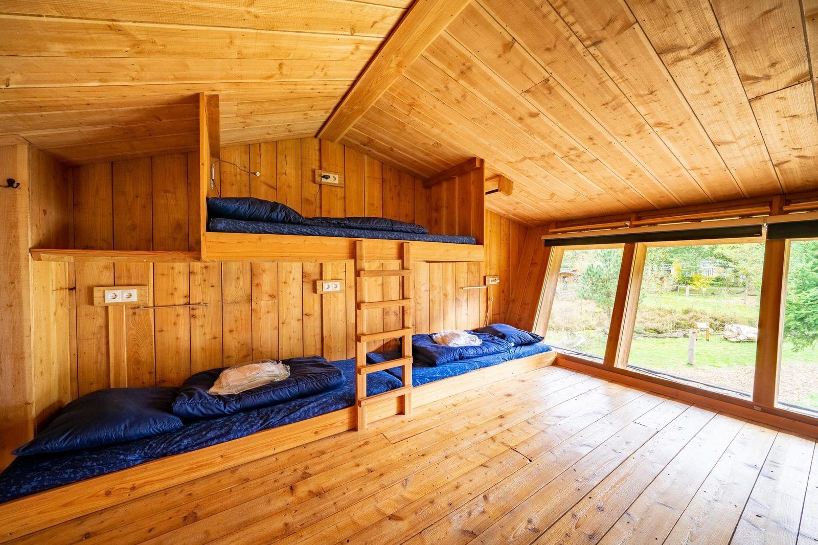 Guest house 3225193 - Holiday property Veluwe - Nature Lodge