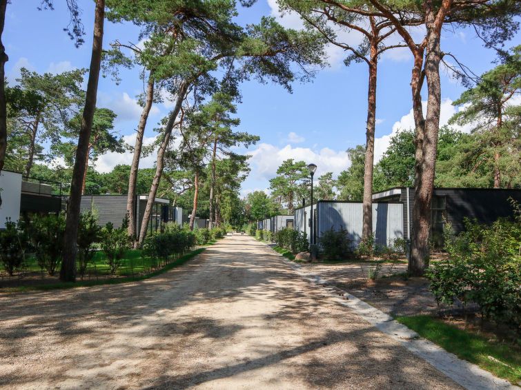 Bosrijke omgeving met paden bij Vakantiehuis Geheim van Otterlo 6 in Otterlo, Veluwe, Gelderland.