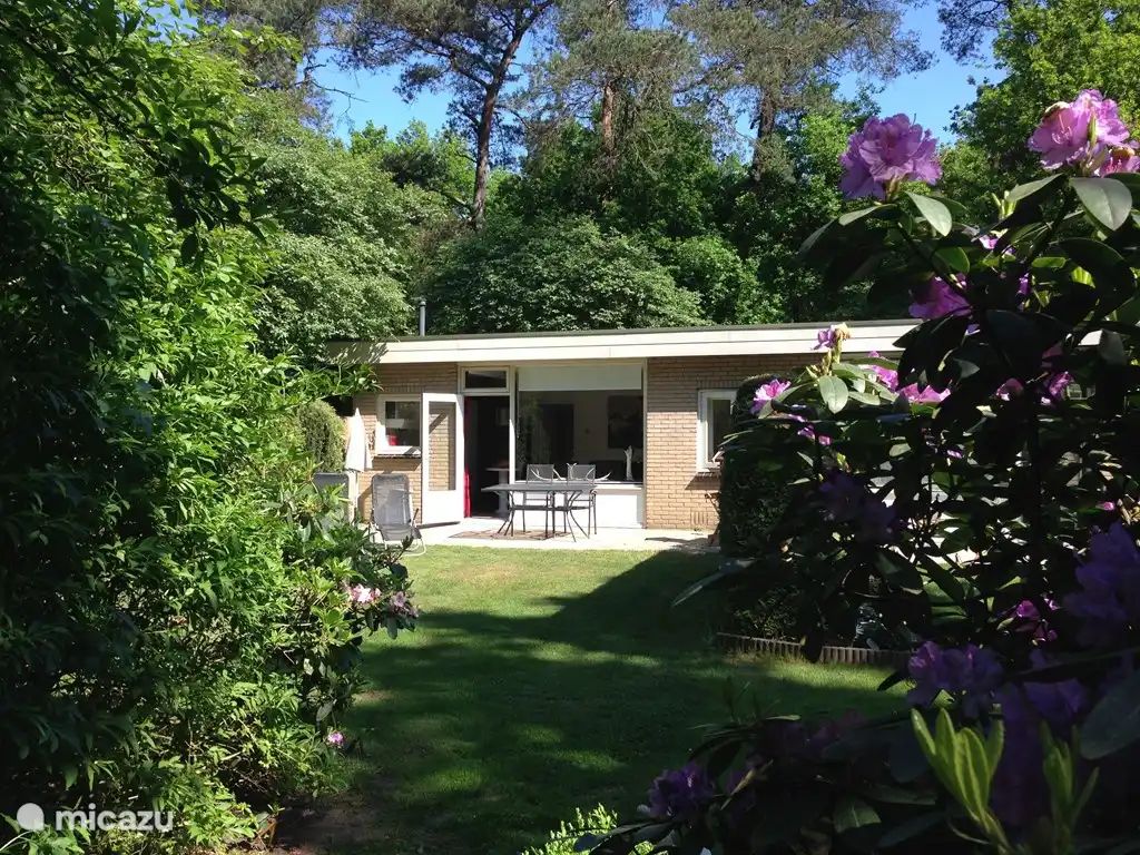 Unterkunft 3225224 - Ferienhaus Veluwe - Boshuisje Veluwe Natuurpark Hoefbos