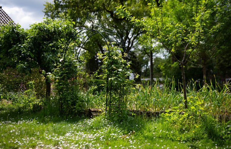 Verblijf 3225324 - Vakantiewoning Veluwe - Vakantiehuis in Otterlo