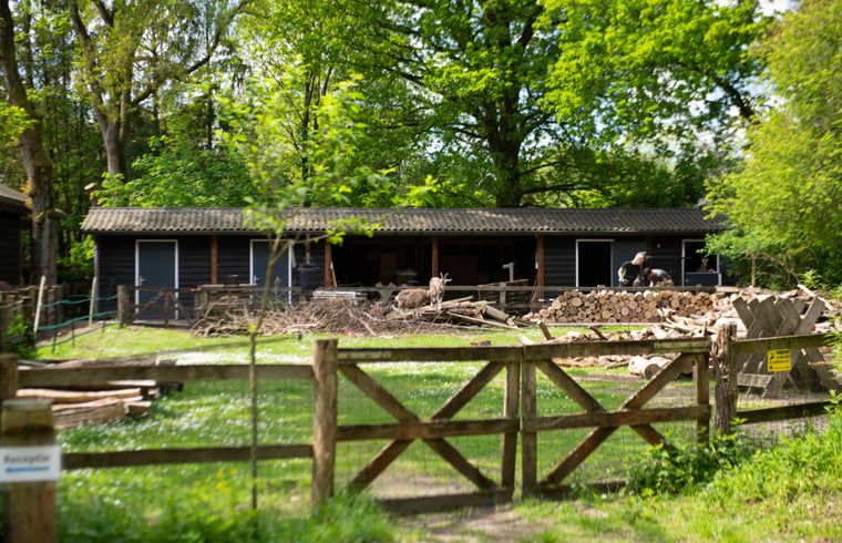 Verblijf 3225324 - Vakantiewoning Veluwe - Vakantiehuis in Otterlo