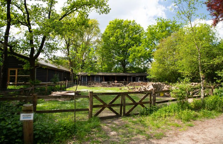 Verblijf 3225324 - Vakantiewoning Veluwe - Vakantiehuis in Otterlo