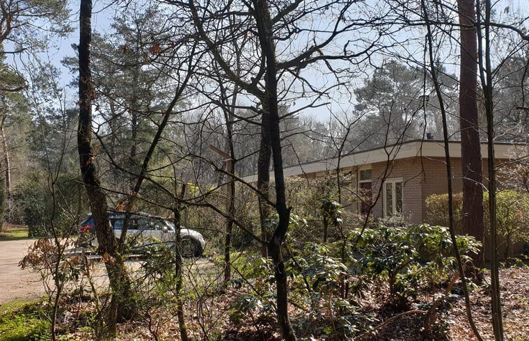 Omringende natuur bij Vakantiehuisje in Otterlo, Veluwe, Gelderland.