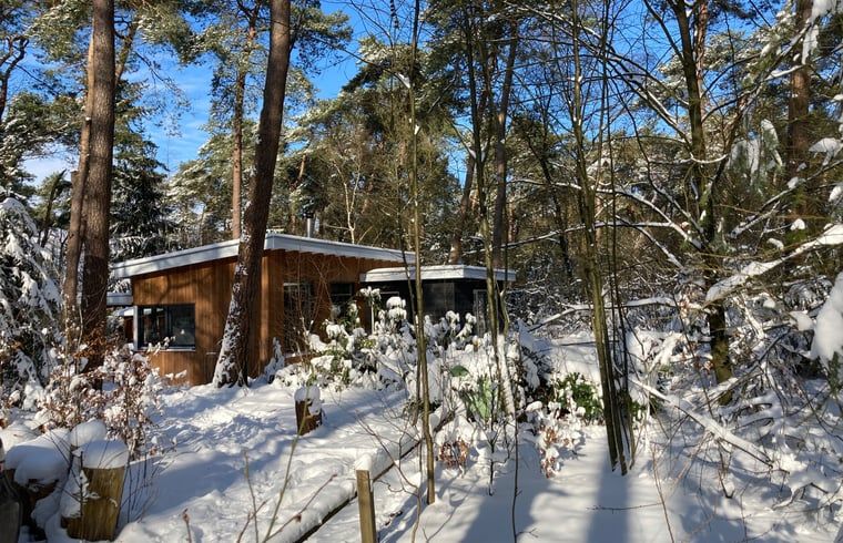 Schnee bedeckt den Wald um das Ferienhaus in Otterlo, ein charmantes Ferienhaus in der Veluwe, Gelderland, umgeben von Natur.