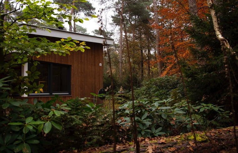 Unterkunft 322568 - Ferienhaus Veluwe - Vakantiehuisje in Otterlo