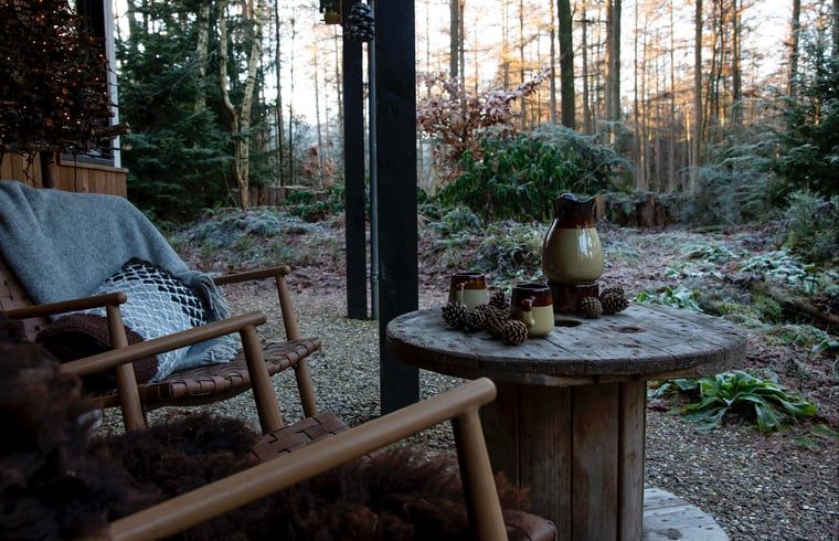 Unterkunft 322568 - Ferienhaus Veluwe - Vakantiehuisje in Otterlo