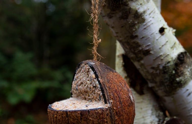 Unterkunft 322568 - Ferienhaus Veluwe - Vakantiehuisje in Otterlo