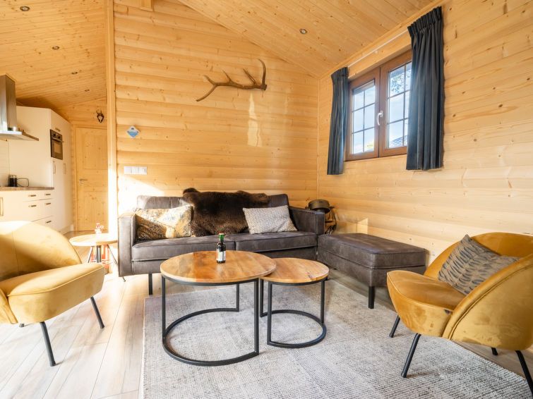 Comfortabele zithoek in Vakantiehuis Boekhorst 5, Otterlo, Veluwe met stijlvolle meubels en gezellige sfeer.