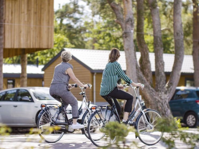Fietsen door de prachtige omgeving van Otterlo, Veluwe nabij Vakantiehuis Boekhorst 5 voor een actieve vakantie.