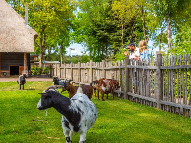 Kinderboerderij bij Vakantiehuis Boekhorst 5, Otterlo, Veluwe met geiten en andere dieren voor interactie.
