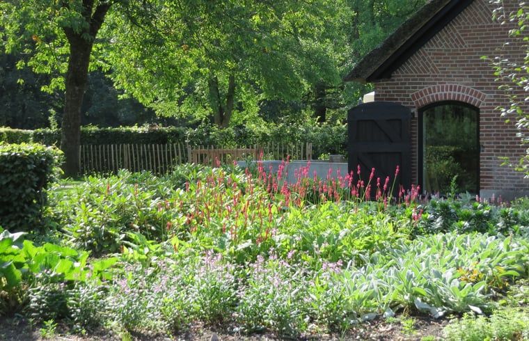 Verblijf 3227100 - Vakantiewoning Veluwe - Vakantiehuis in Epe