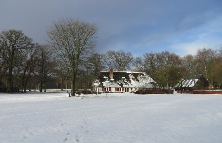 Verblijf 3227100 - Vakantiewoning Veluwe - Vakantiehuis in Epe