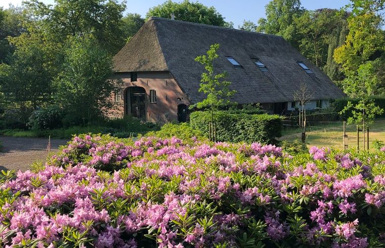 Verblijf 3227100 - Vakantiewoning Veluwe - Vakantiehuis in Epe