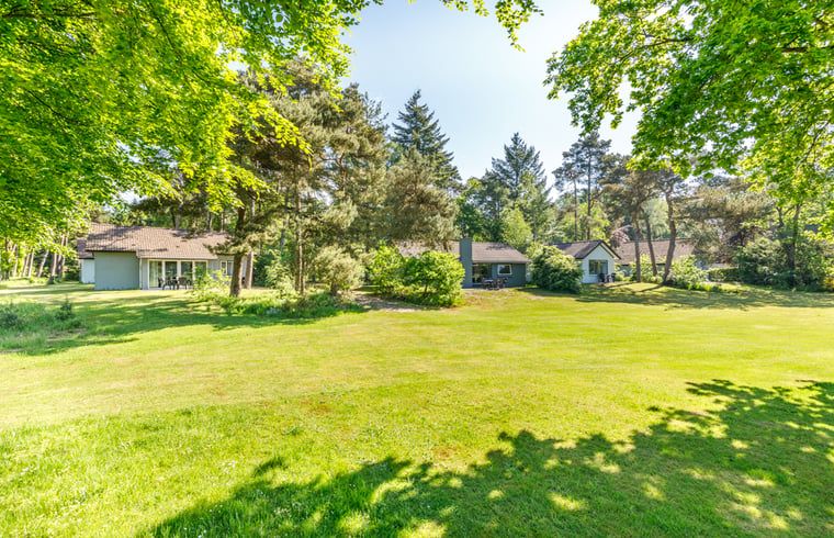 Verblijf 3227103 - Vakantiewoning Veluwe - Vakantiehuisje in Epe