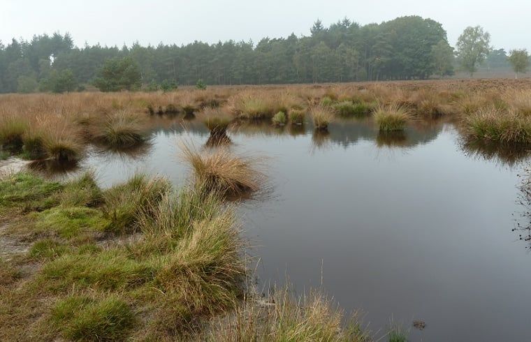 Verblijf 3227103 - Vakantiewoning Veluwe - Vakantiehuisje in Epe