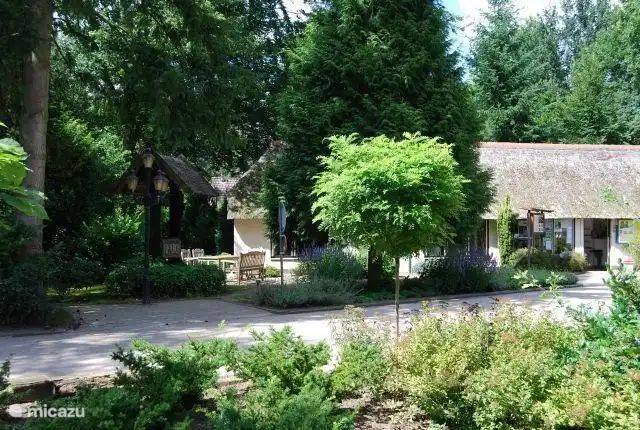 Verblijf 3227106 - Vakantiewoning Veluwe - Remboe Village