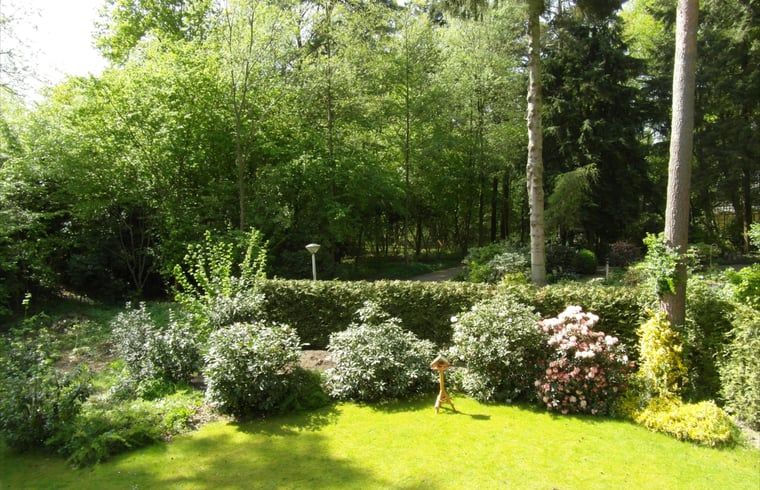 Vacation home in Epe surrounded by the green nature of the Veluwe, Gelderland, with a beautiful view of the wooded landscape.