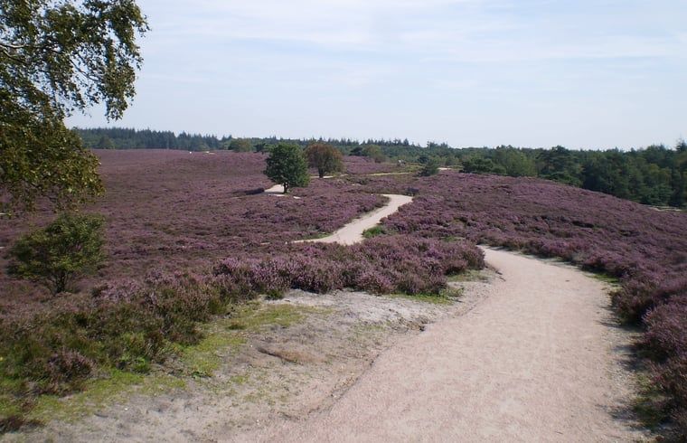 Guest house 322711 - Holiday property Veluwe - Vakantiehuis in Epe