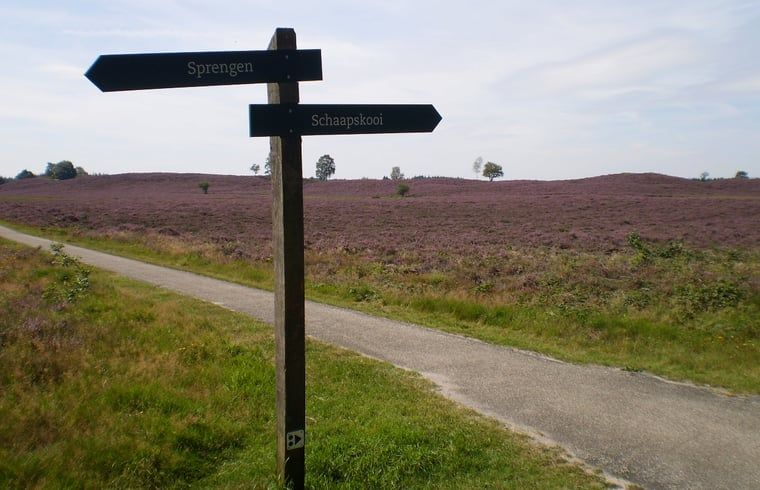 Guest house 322711 - Holiday property Veluwe - Vakantiehuis in Epe