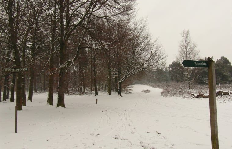 Unterkunft 322711 - Ferienhaus Veluwe - Vakantiehuis in Epe
