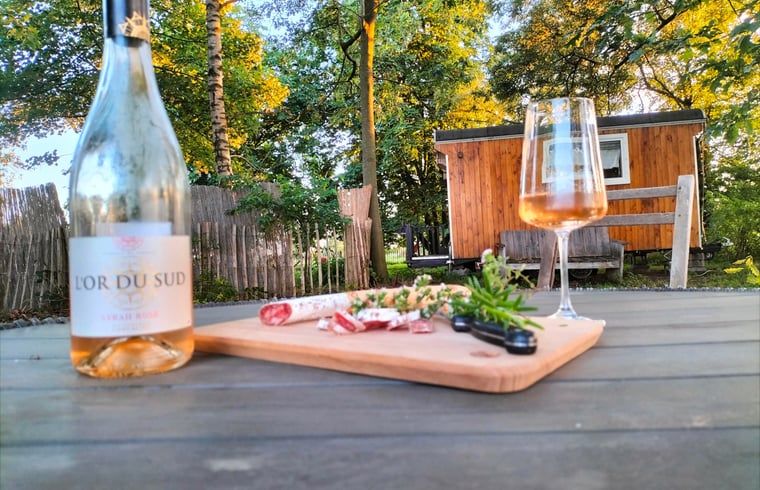 Geniet van een glas wijn op het terras van Vakantiehuis in Epe, Veluwe, Gelderland, omgeven door natuur.