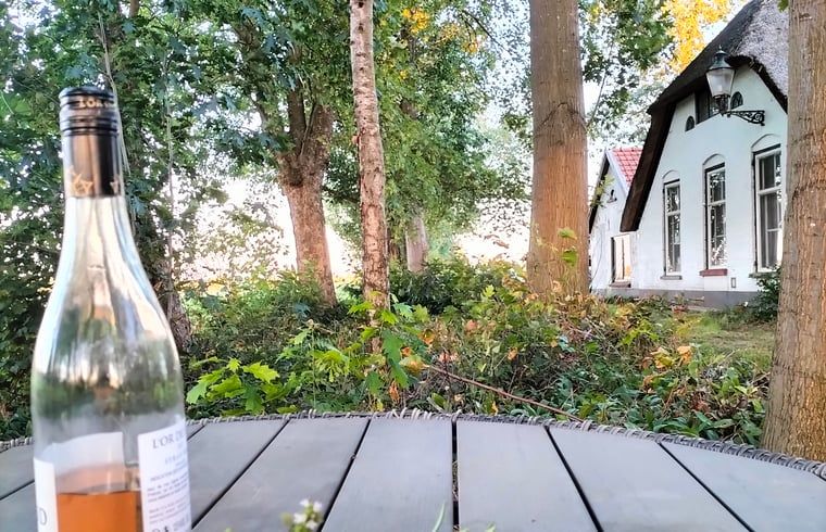 Buitenruimte van Vakantiehuis in Epe, Veluwe, Gelderland met rustieke tafel en omliggend groen.