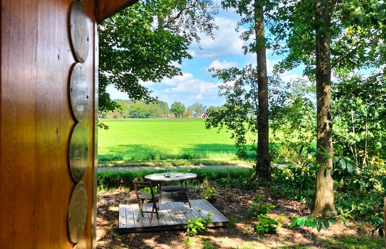 Uitzicht vanaf de veranda van Vakantiehuis in Epe, Veluwe, Gelderland op groene velden en bomen.