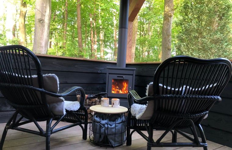 Cozy porch of Holiday Home in Epe in the Veluwe, Gelderland, with fireplace and views of the wooded landscape.