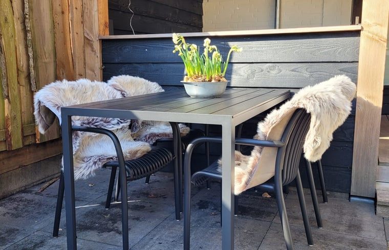 Guest house 3227129 - Holiday property Veluwe - Vakantiehuisje in Epe