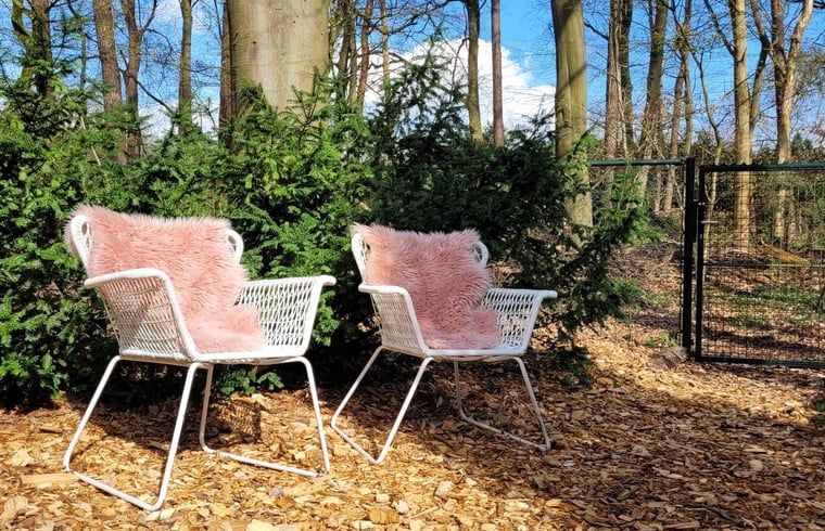 Guest house 3227129 - Holiday property Veluwe - Vakantiehuisje in Epe