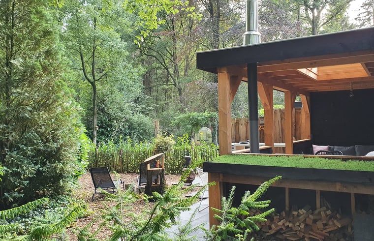 Guest house 3227129 - Holiday property Veluwe - Vakantiehuisje in Epe