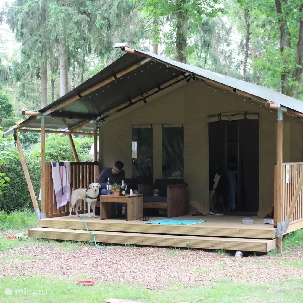 Unterkunft 3227130 - Zelthaus Veluwe - Safaritent de Das