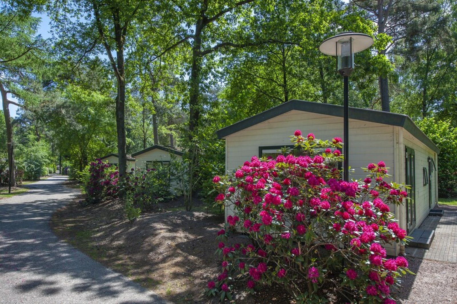 Verblijf 3227136 - Vakantiewoning Veluwe - «Chalet» SK6