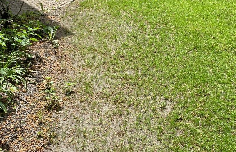 Verblijf 322732 - Vakantiewoning Veluwe - Huisje in Epe