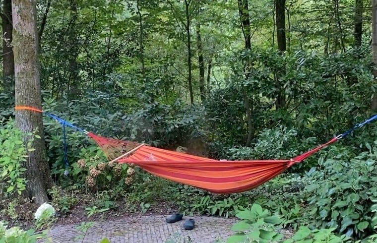 Verblijf 322732 - Vakantiewoning Veluwe - Huisje in Epe