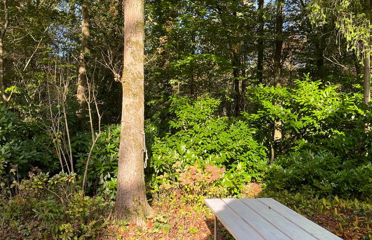 Verblijf 322732 - Vakantiewoning Veluwe - Huisje in Epe