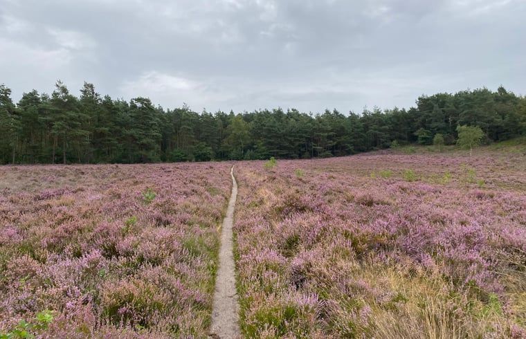 Verblijf 322732 - Vakantiewoning Veluwe - Huisje in Epe