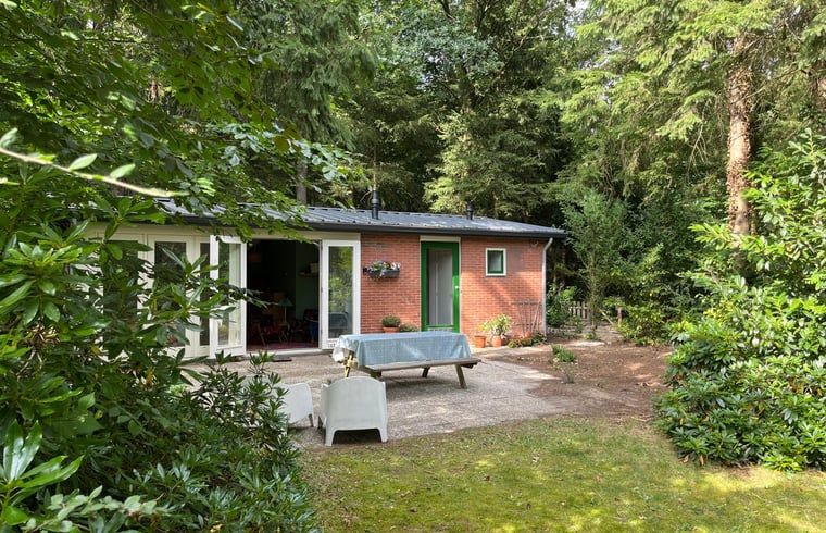 Unterkunft 322734 - Ferienhaus Veluwe - Vakantiehuis in Epe