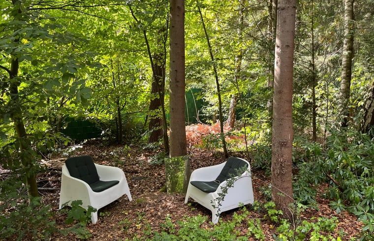 Unterkunft 322734 - Ferienhaus Veluwe - Vakantiehuis in Epe