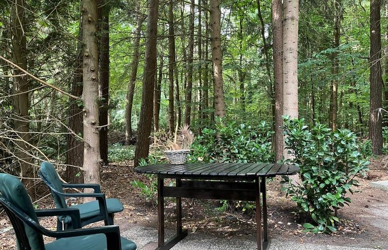 Unterkunft 322734 - Ferienhaus Veluwe - Vakantiehuis in Epe