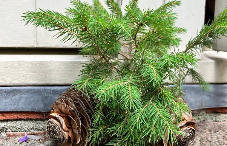 Unterkunft 322734 - Ferienhaus Veluwe - Vakantiehuis in Epe