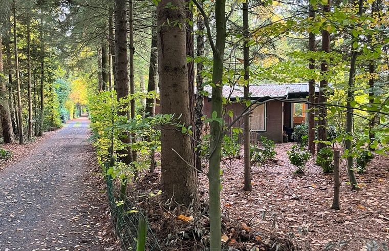 Unterkunft 322734 - Ferienhaus Veluwe - Vakantiehuis in Epe