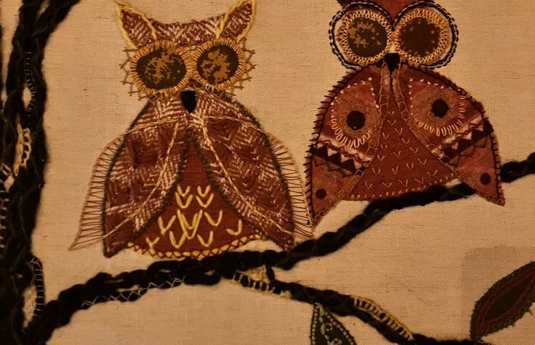 Unterkunft 322734 - Ferienhaus Veluwe - Vakantiehuis in Epe