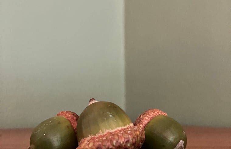 Unterkunft 322734 - Ferienhaus Veluwe - Vakantiehuis in Epe