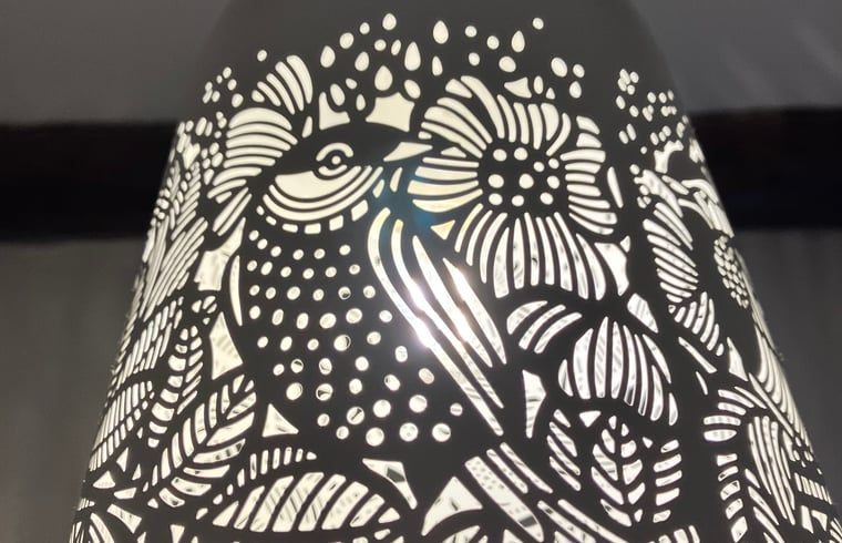 Unterkunft 322734 - Ferienhaus Veluwe - Vakantiehuis in Epe