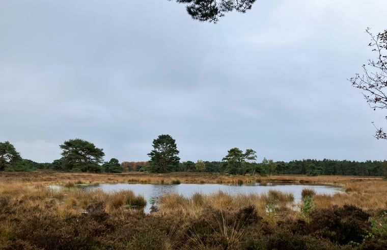 Unterkunft 322734 - Ferienhaus Veluwe - Vakantiehuis in Epe